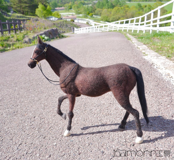 羊毛フェルト　馬　サラブレッド（牝馬） 6枚目の画像