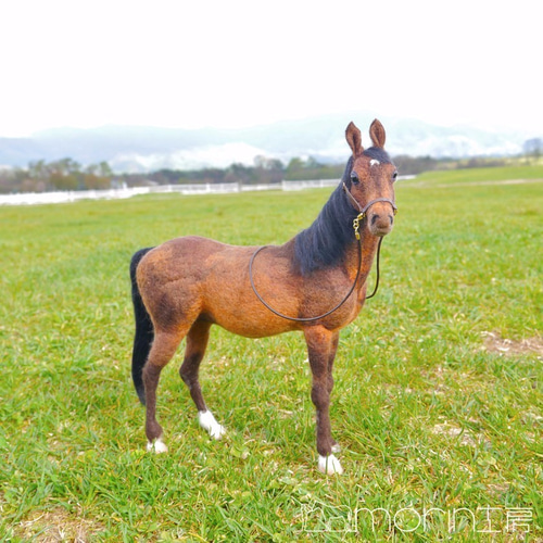 羊毛フェルト 馬 サラブレッド(牡馬）(販売済み) 羊毛フェルト morin