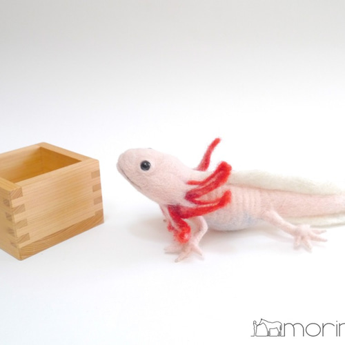 羊毛フェルト ウーパールーパー 羊毛フェルト morin工房 HIROKO 通販