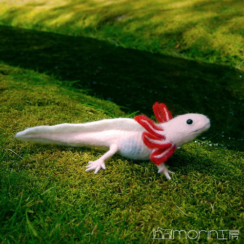 【ウーパールーパー】【no.7】羊毛フェルトキャラクター人形 羊毛フェルト ウーパールーパー 羊毛フェルト morin工房 HIROKO