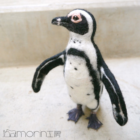 羊毛フェルト ケープペンギン 羊毛フェルト morin工房 HIROKO 通販