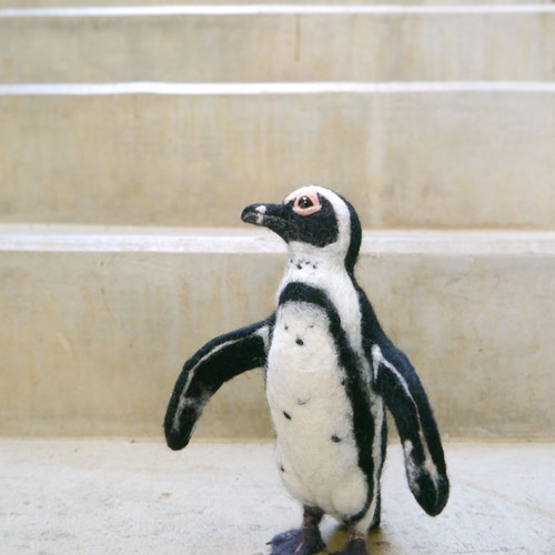 羊毛フェルト ケープペンギン 羊毛フェルト morin工房 HIROKO 通販
