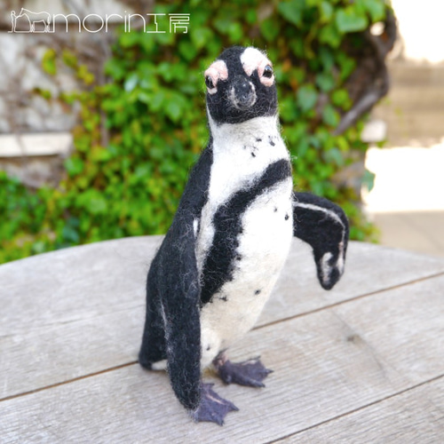 羊毛フェルト ケープペンギン 羊毛フェルト morin工房 HIROKO