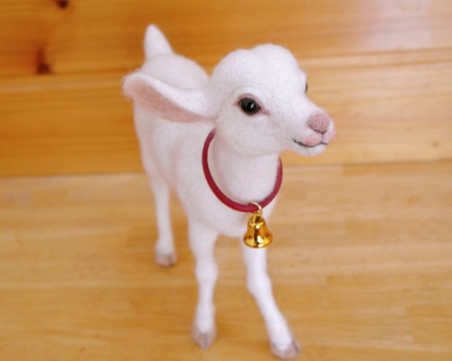 0_a962f543b242d5ea98434dbcbf14