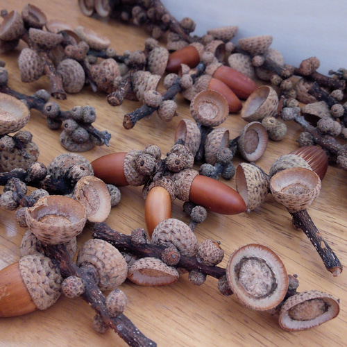 どんぐり⭐︎様ご確認用 5cb7a1ddecc236f4e480cfcce60683