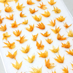 1_21187a9110c5d459f95e557ede07