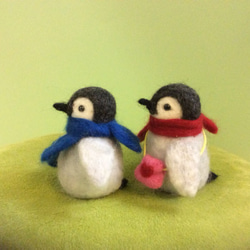 ペンギンのカップル 3枚目の画像