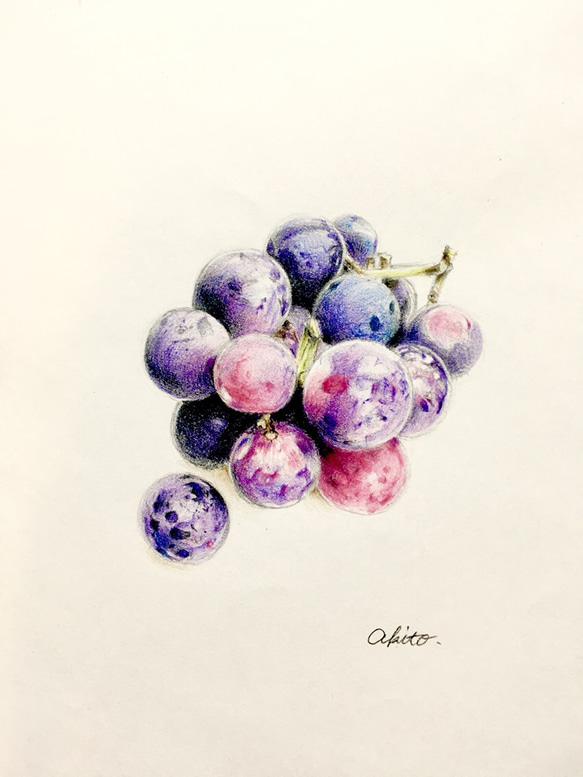 油絵 ミニ絵画額付き【ブドウ】 絵画 HR 通販 12297828