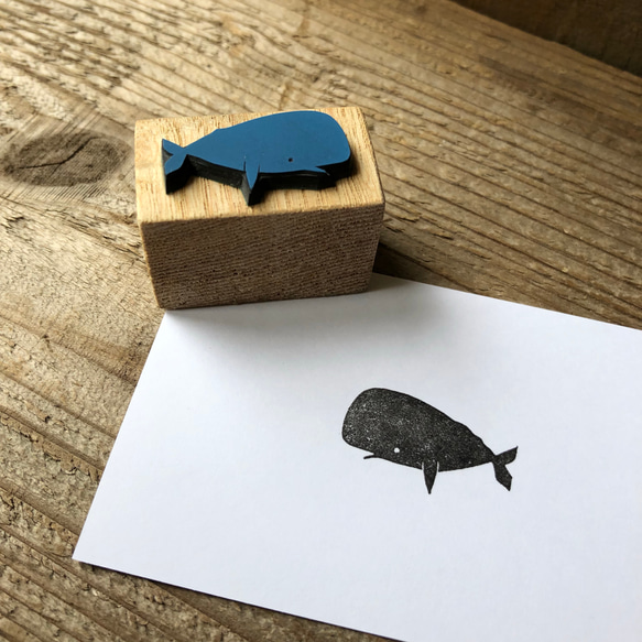 【値下げ】鯨歯　マッコウクジラ　印材　曲りタイプ② 値下げ】鯨歯 マッコウクジラ 印材 曲りタイプ② 値下げ】鯨歯