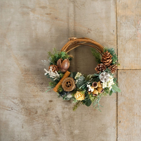 クリスマスミニリース ハーフ リース atelier-plantsplanet 通販