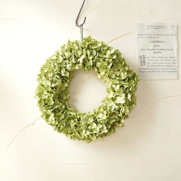 グリーンアナベルのリース リース atelier-plantsplanet 通販