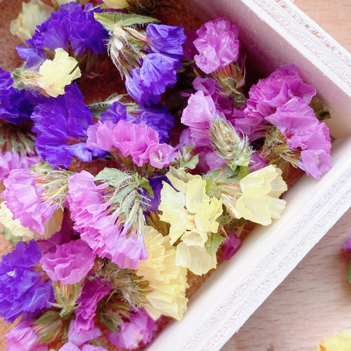 ①花材セット ドライフラワー 花材 とりよせ品 テールリード 素材 材料 パーツ