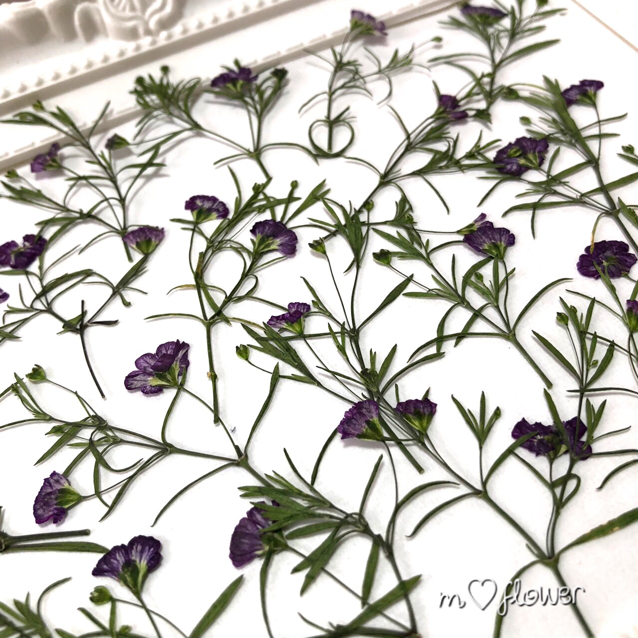 かすみ草 様♡ 様♡ かすみ草