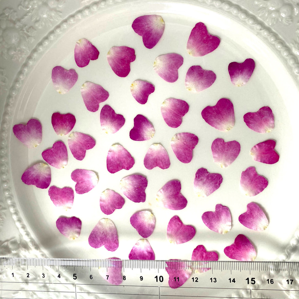 【押し花素材】バラの花びら　ハートピンク 3枚目の画像