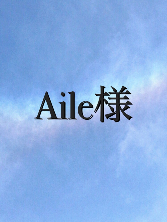 Aile様専用ページ 1枚目の画像