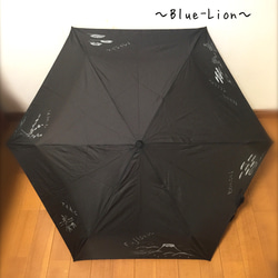 送料無料ラッピング無料＊手描き軽量タイプ晴雨兼用傘☆日本庭園/Nihon teien☆ 1枚目の画像