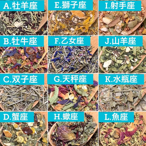  第4張的照片