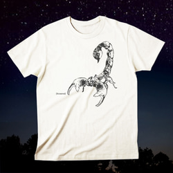 12星座Ｔシャツ「Scorpio（蠍座） 10/24～11/21」 S 1枚目の画像