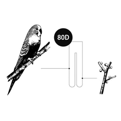 動物タイツ「セキセイインコと木の実」sage 2枚目の画像