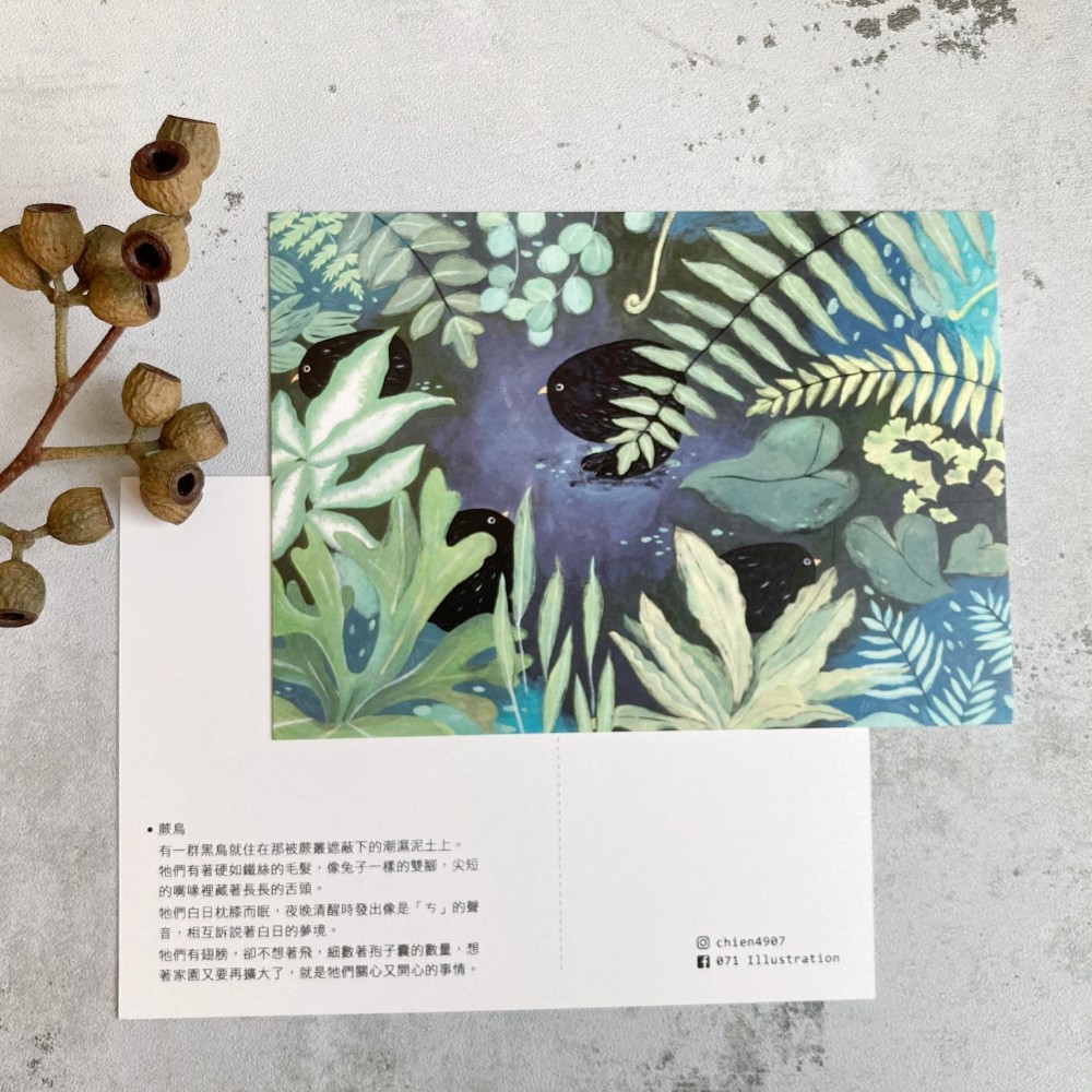 鳥類イラストカード 52枚セット