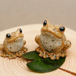 受注生産　【チビ】陶器のカエル　福が「かえる」、人が無事「かえる」　シロ 3枚目の画像