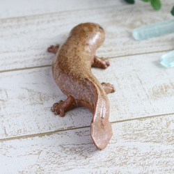 【大】大山椒魚　オオサンショウウオ 4枚目の画像