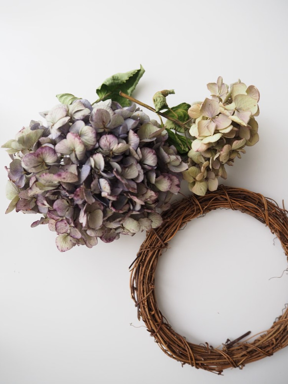 1.アキイロ紫陽花ハーフリース 1.アキイロ紫陽花ハーフリース アジサイ - リースの人気通販 | minne