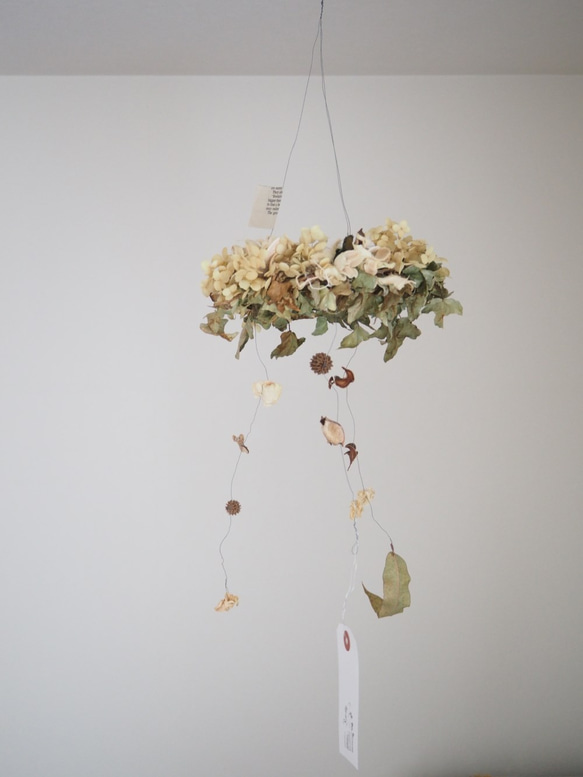 ドライフラワーのフライングリース ドライフラワー petite riviere