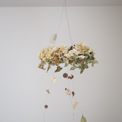 ドライフラワーのフライングリース ドライフラワー petite riviere