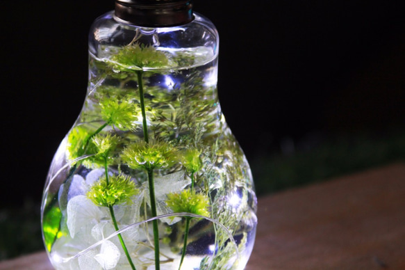 綠色草原 花火 最美的液態光芒 木盒版 客製禮物 第1張的照片
