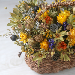 Natural yellow dryflower basket 3枚目の画像