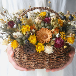 dryflower basket　yellow&red 1枚目の画像