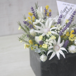 [父の日・開店祝い・新築祝い} creema限定　　lavender&flannel  arrangement 5枚目の画像