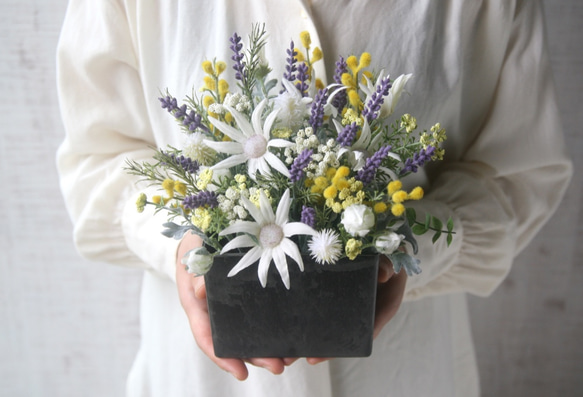 [父の日・開店祝い・新築祝い} creema限定　　lavender&flannel  arrangement 1枚目の画像