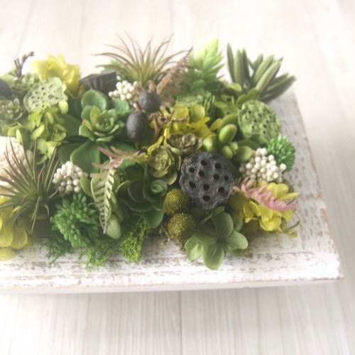 多肉植物とエアプランツの壁掛けアレンジ Rectangle