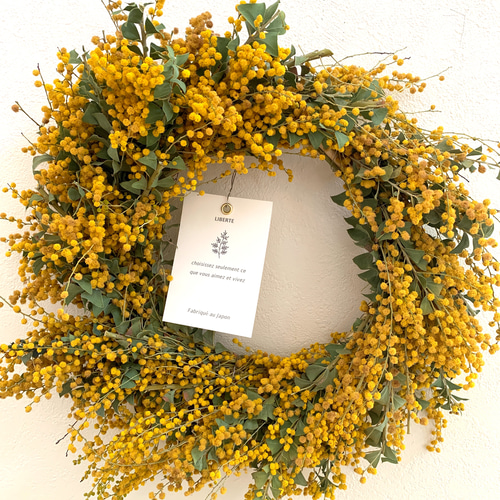 ミモザリース pjd