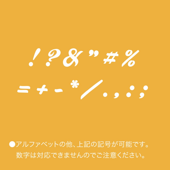 iPhone12/iPhone11/オレンジ/iPhone/スマホケース〈みかん〉フルーツ/お揃い/ペア/名入れ 4枚目の画像