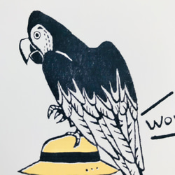 【送料込】女の子とベニコンゴウインコのポストカード３枚セット 5枚目の画像