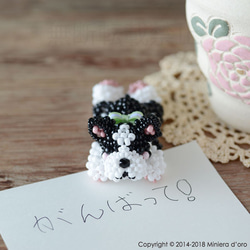 【手作りキット】まったり犬～ボストンテリアLeo～ 1枚目の画像