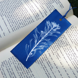 植物剪影。滿版藍曬書籤（四張一組） Botanic Cyanotype Bookmarks (4 in 1 set) 第4張的照片