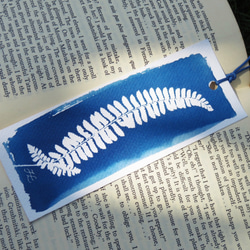 植物剪影。寫意藍曬書籤（四張一組） Botanic Cyanotype Bookmarks (4 in 1 set) 第3張的照片