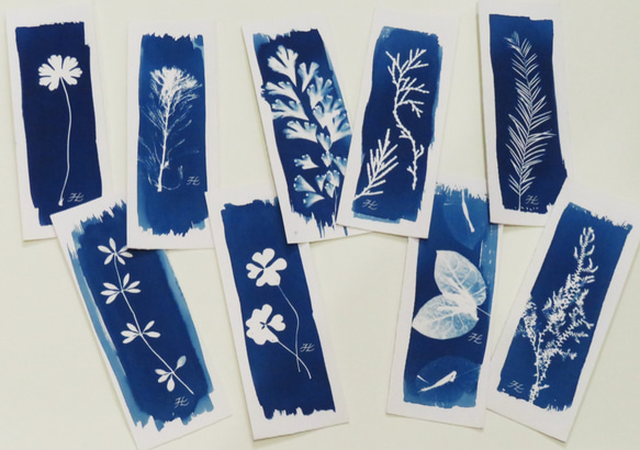 植物剪影。寫意藍曬書籤（四張一組） Botanic Cyanotype Bookmarks (4 in 1 set) 第5張的照片