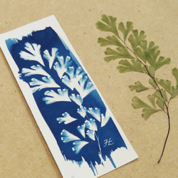 植物剪影。寫意藍曬書籤（四張一組） Botanic Cyanotype Bookmarks (4 in 1 set) 第7張的照片