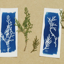 植物剪影。寫意藍曬書籤（四張一組） Botanic Cyanotype Bookmarks (4 in 1 set) 第8張的照片