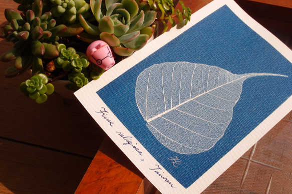 植物剪影。藍曬明信片（三張一組） Botanic Cyanotype Postcards (3 in 1 set) 第8張的照片