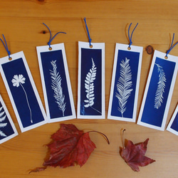 植物剪影。藍曬書籤（四張一組） Botanic Cyanotype Bookmarks (4 in 1 set) 第5張的照片