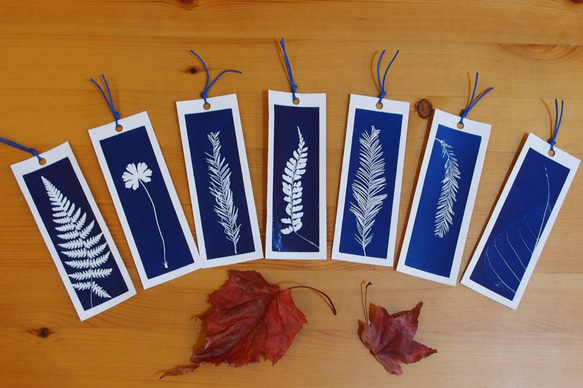 植物剪影。藍曬書籤（四張一組） Botanic Cyanotype Bookmarks (4 in 1 set) 第5張的照片