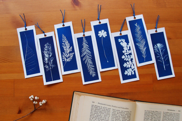 植物剪影。藍曬書籤（四張一組） Botanic Cyanotype Bookmarks (4 in 1 set) 第7張的照片