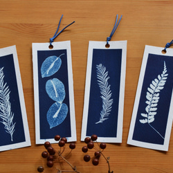 植物剪影。藍曬書籤（四張一組） Botanic Cyanotype Bookmarks (4 in 1 set) 第6張的照片