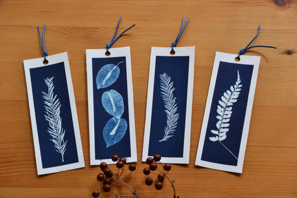 植物のシルエット。 Cyanotype ブックマーク (4 in 1 セット) Botanic Cyanotype ブックマーク 6枚目の画像